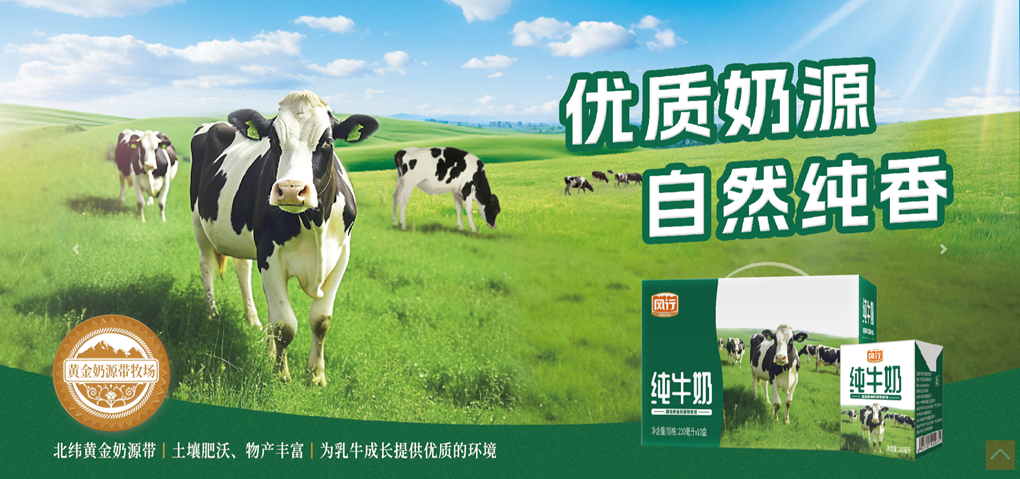 172238858910306111.png 图片4_副本.png