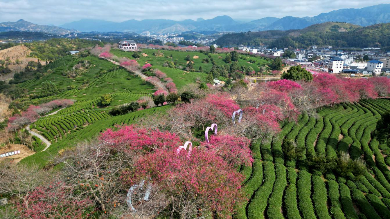 177002295051292751.png 图片2.png