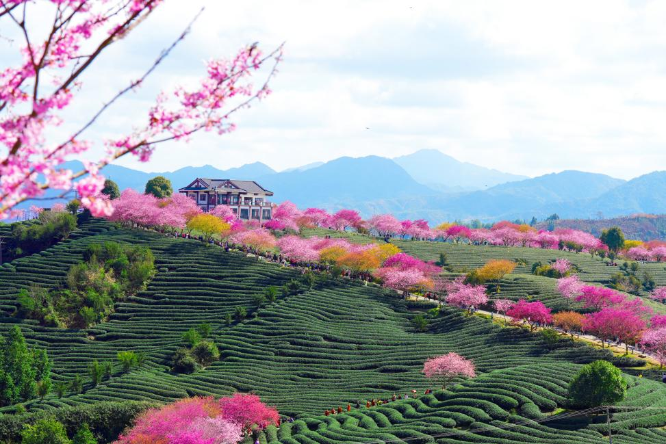 179058372165187083.png 图片6.png